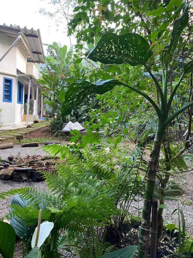 Casa Dos Ventos - Refugio, Sustentabilidade, Conexao Ubatuba Eksteriør billede