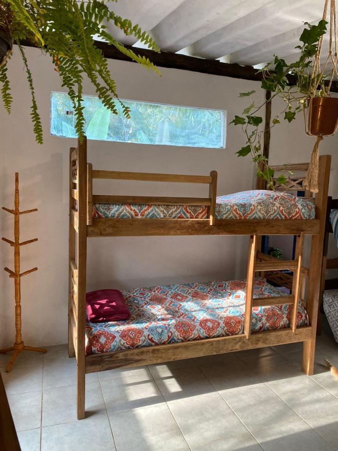 Casa Dos Ventos - Refugio, Sustentabilidade, Conexao Ubatuba Eksteriør billede